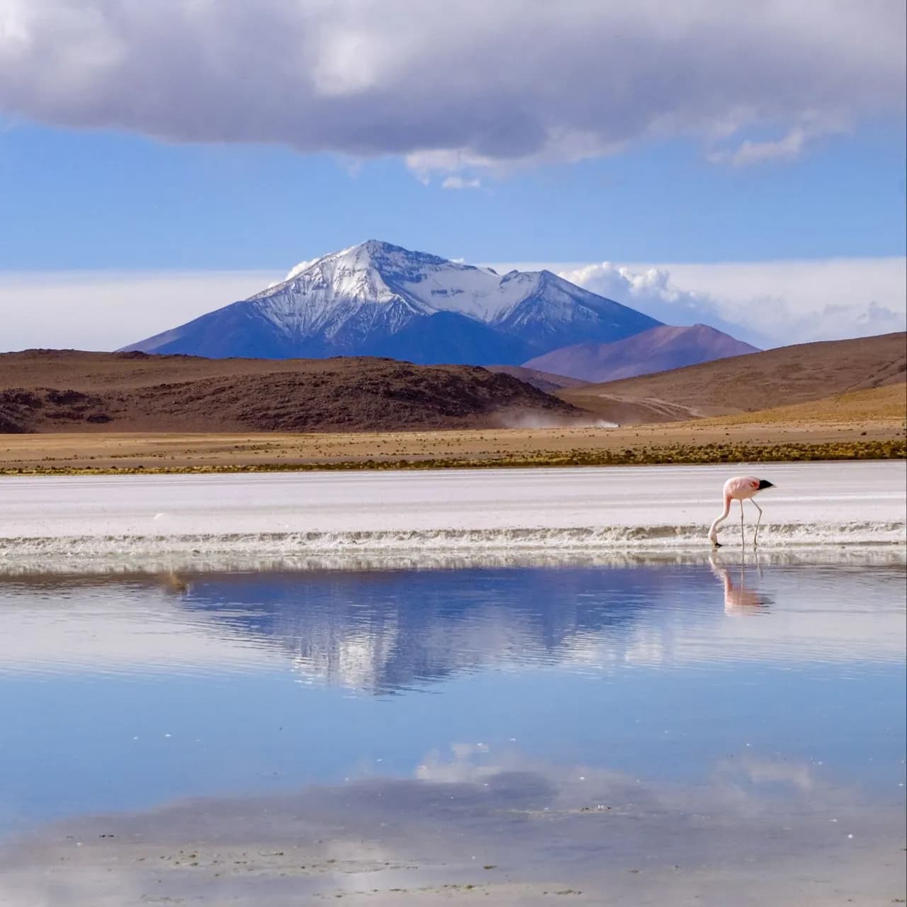 Перу, Боливия, Чили. Большое путешествие по Южной Америке 4