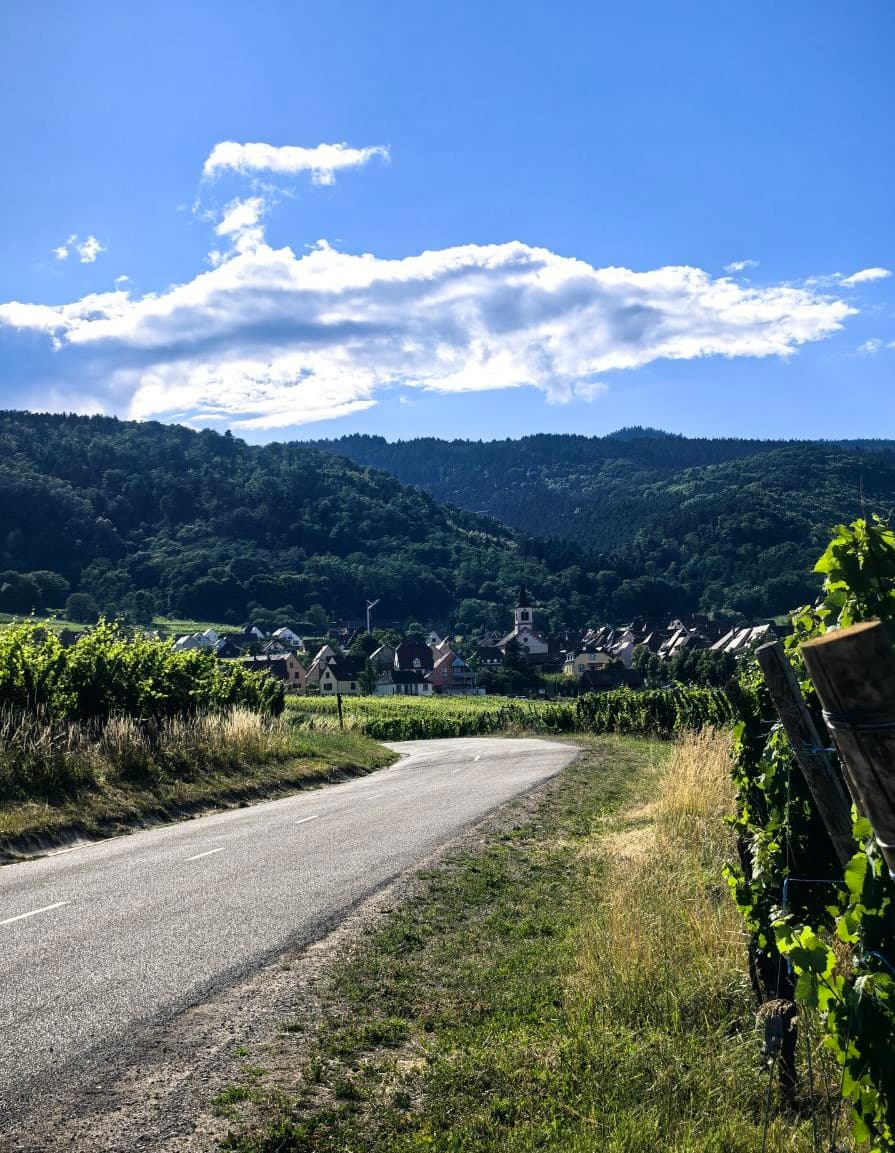 Жемчужины Эльзаса и винные дегустации 4