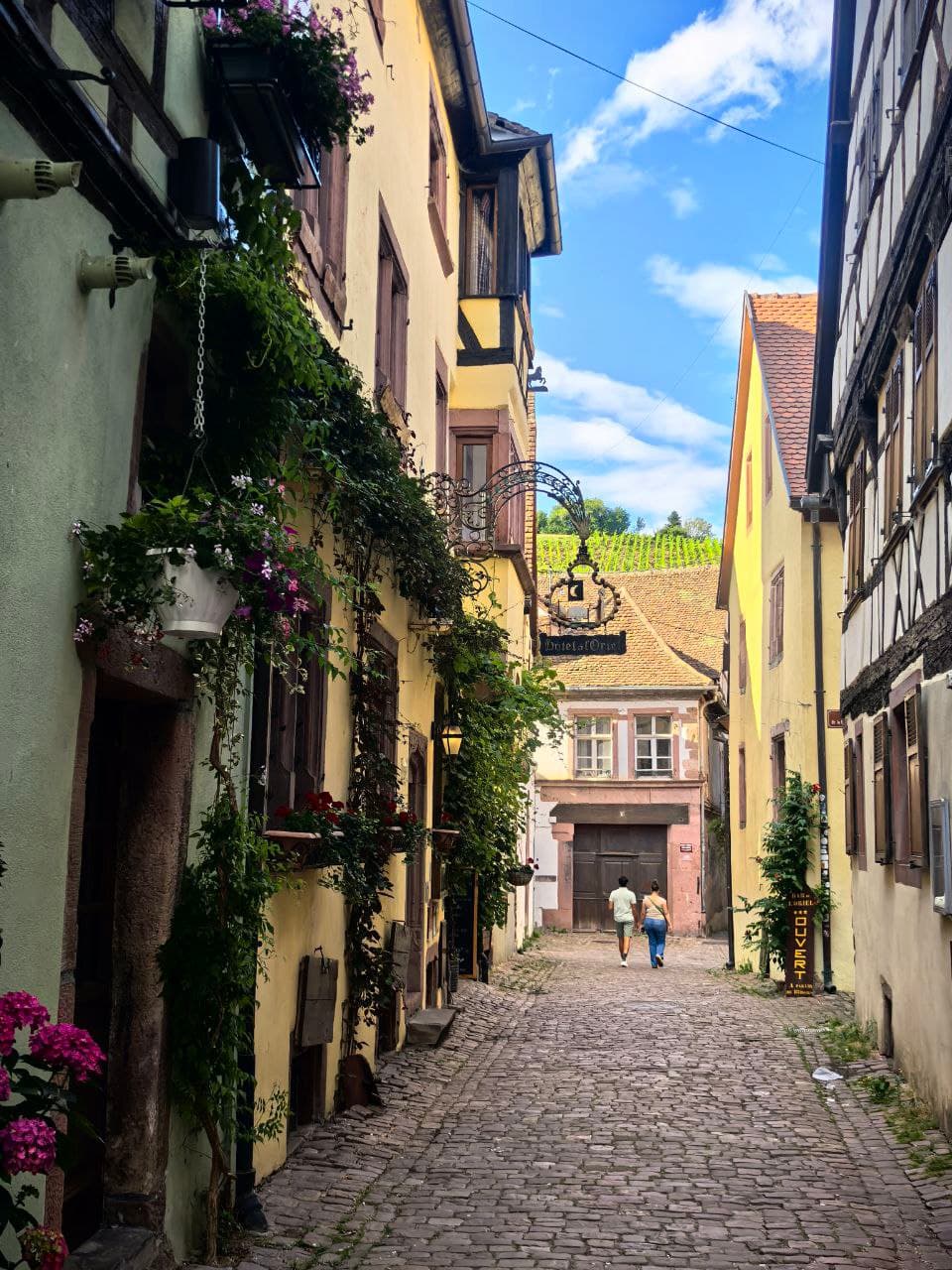 Жемчужины Эльзаса и винные дегустации 3